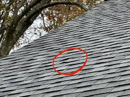 Shingle Damage