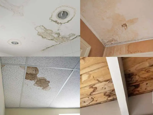 Leaks and Water Damage